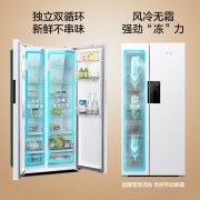 西门子冰箱KT632093VC（一级能效）